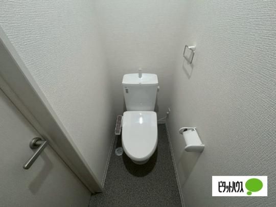 �y���̑��z�@�g�C��