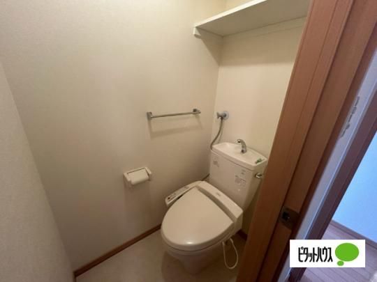 �y���̑��z�@�g�C��