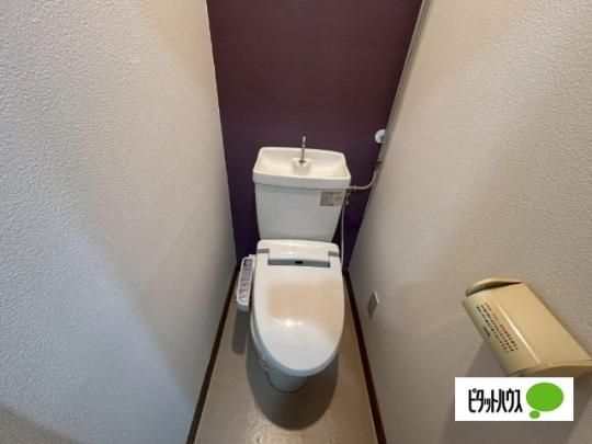 �y���̑��z�@�g�C��