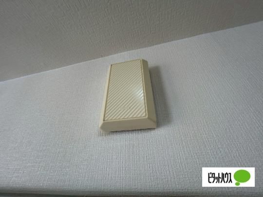 �y���̑��z�@�Z�L�����e�B