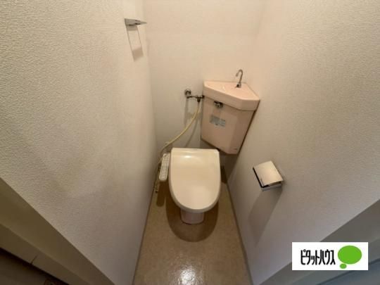 �y���̑��z�@�g�C��