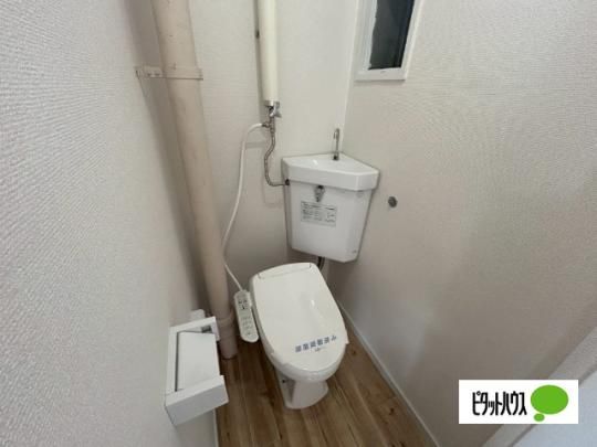 �y���̑��z�@�g�C��