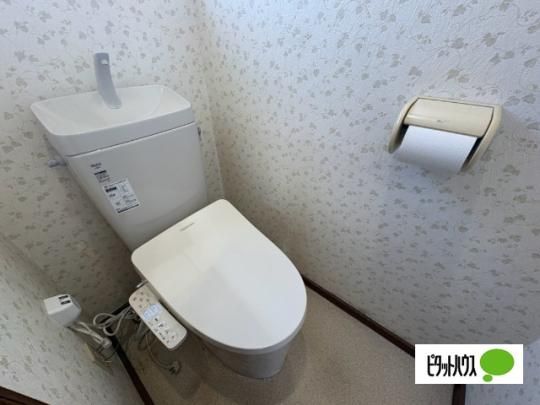 �y���̑��z�@�g�C��