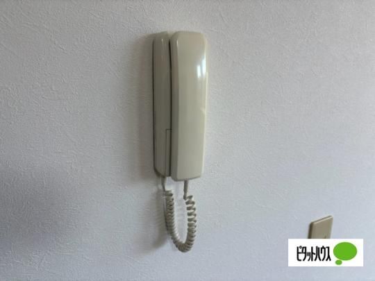 �y���̑��z�@�Z�L�����e�B