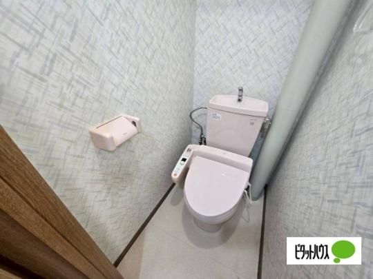 �y���̑��z�@�g�C��