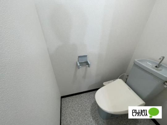 �y���̑��z�@�g�C��