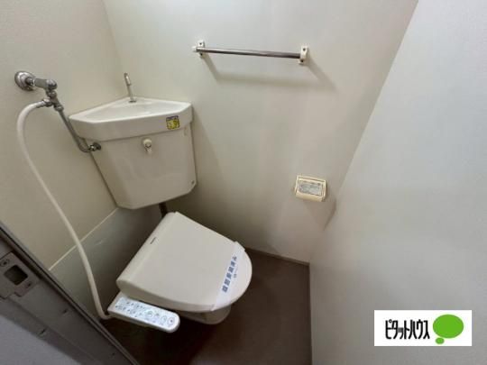 �y���̑��z�@�g�C��