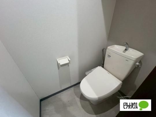 �y���̑��z�@�g�C��