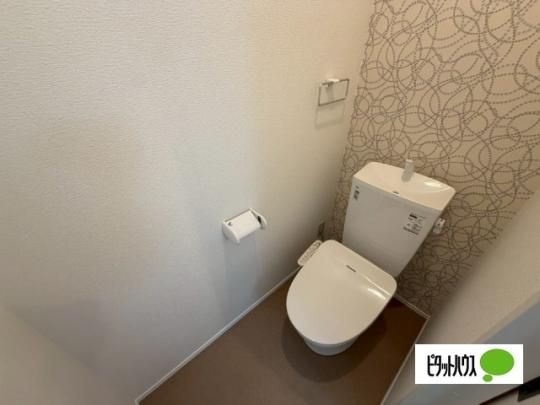 �y���̑��z�@�g�C��