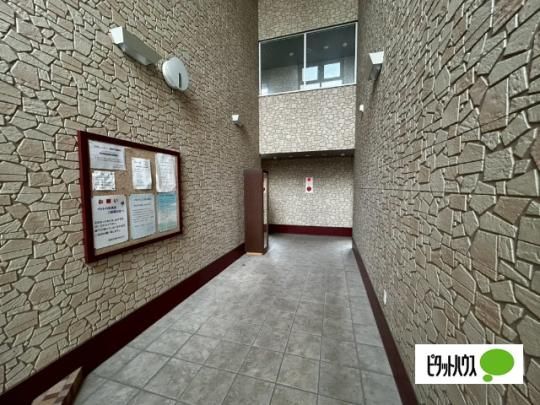 �y�����O�ρz�@���r�[