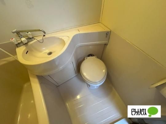 �y���̑��z�@�g�C��