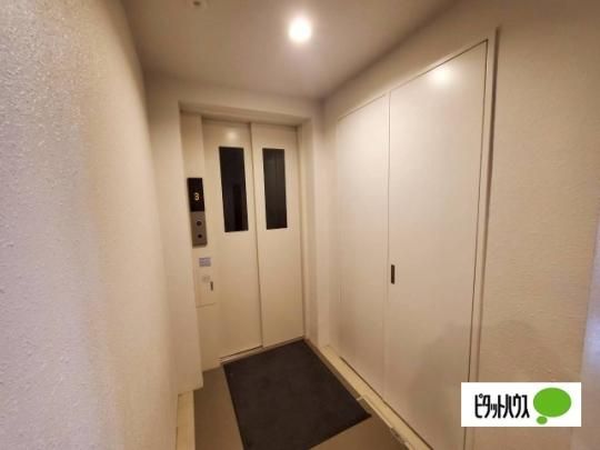 �y�����O�ρz�@���L����