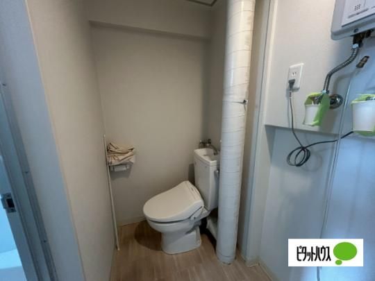 �y���̑��z�@�g�C��