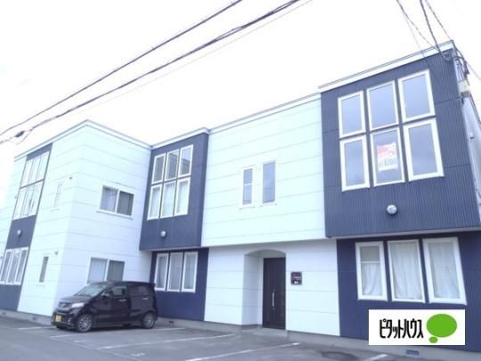 �V���t�H�j�[����