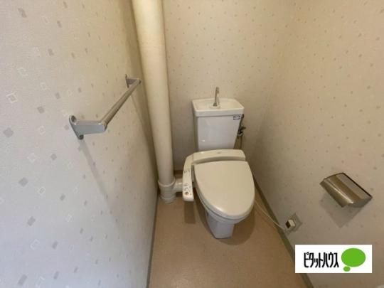 �y���̑��z�@�g�C��