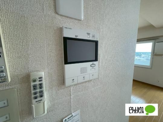 �y���̑��z�@�Z�L�����e�B