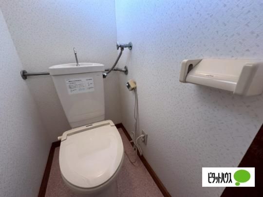 �y���̑��z�@�g�C��