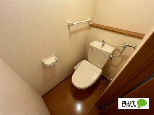 �y���̑��z�@�g�C��
