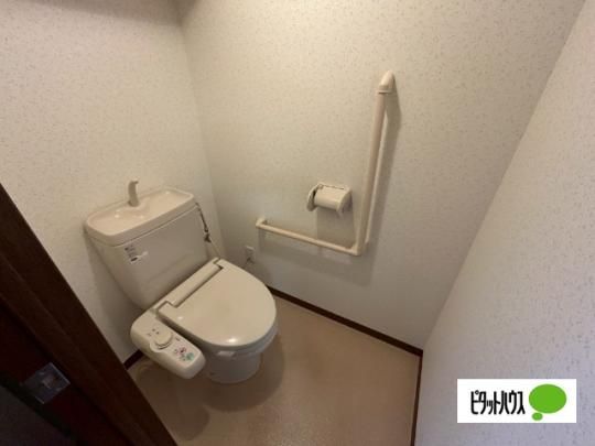 �y���̑��z�@�g�C��