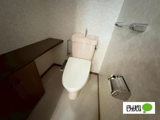 �y���̑��z�@�g�C��