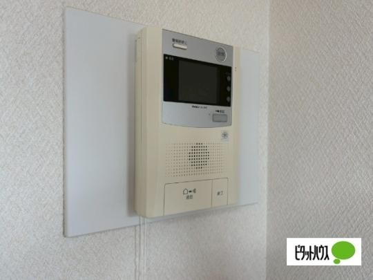 �y���̑��z�@�Z�L�����e�B