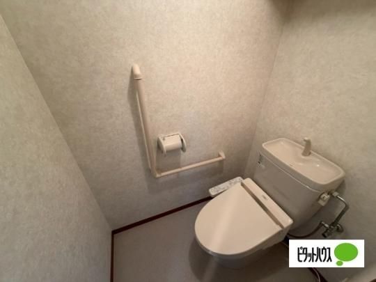 �y���̑��z�@�g�C��