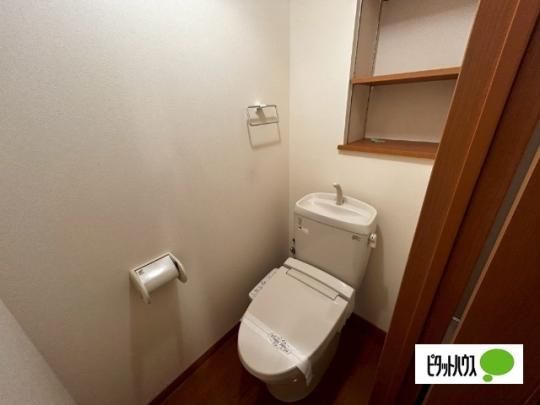 �y���̑��z�@�g�C��