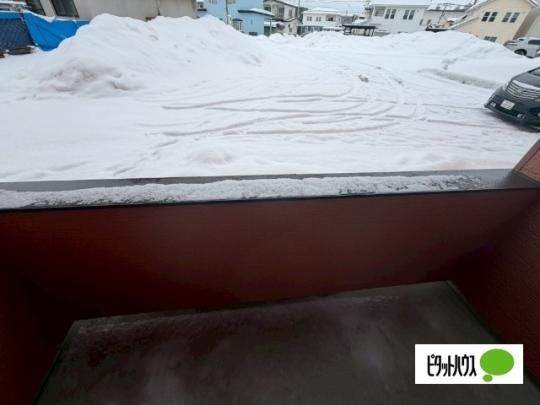 �y���̑��z�@�o���R�j�[