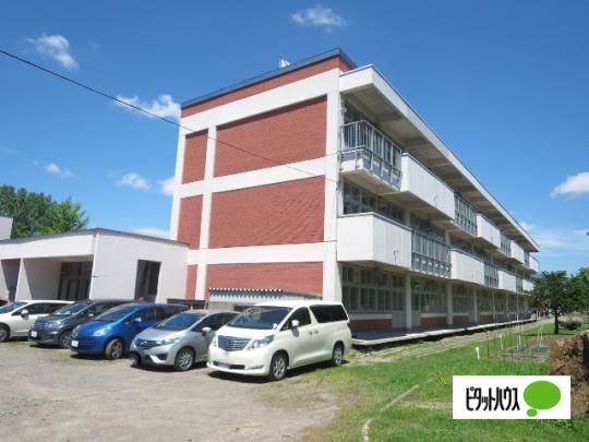 �y���Ӂz�@����s���L�����w�Z�F205m