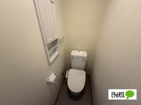 �y���̑��z�@����