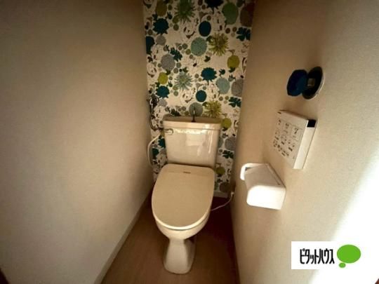 �y���̑��z�@�g�C��