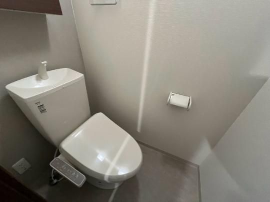 �y���̑��z�@�g�C��