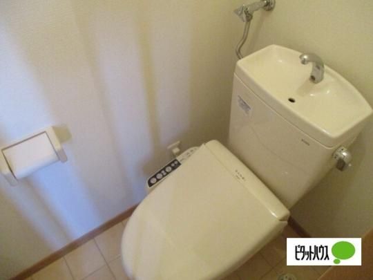 �y���̑��z�@�g�C��