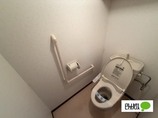 �y���̑��z�@�g�C��