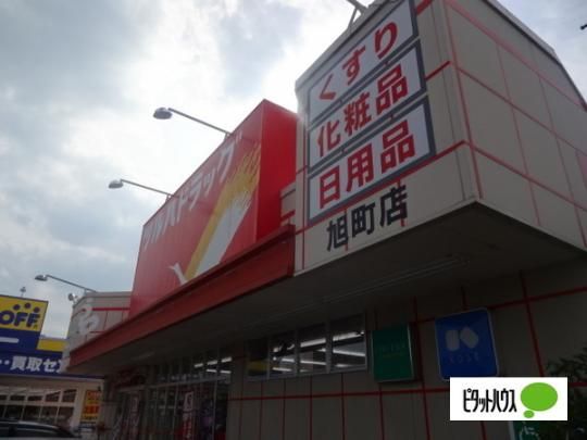 �y���Ӂz�@�c���n�h���b�O�����X�F274m