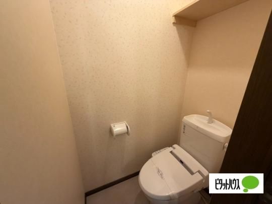 �y���̑��z�@�g�C��