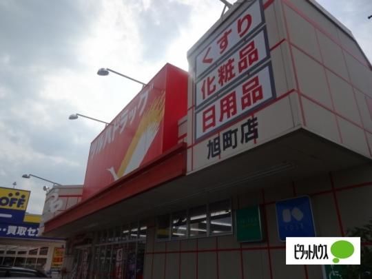 �y���Ӂz�@�c���n�h���b�O�����X�F725m