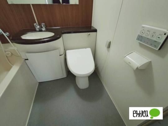 �y���̑��z�@�g�C��