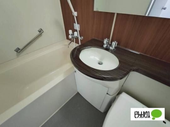 �y���̑��z�@����