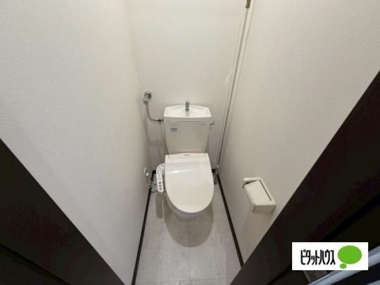 �y���̑��z�@�g�C��