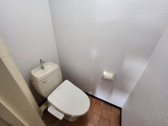 �y���̑��z�@�g�C��