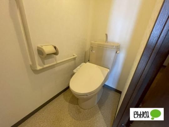 �y���̑��z�@�g�C��