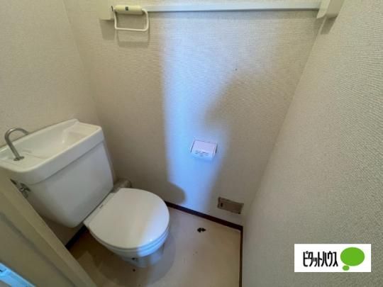 �y���̑��z�@�g�C��