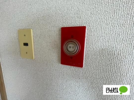 �y���̑��z�@�Z�L�����e�B
