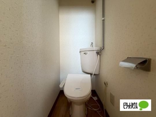 �y���̑��z�@�g�C��