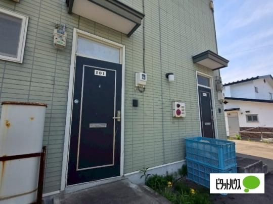 �y�����O�ρz�@�G���g�����X