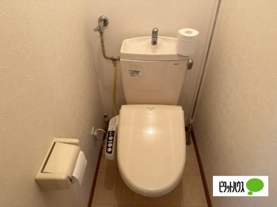 �y���̑��z�@�g�C��