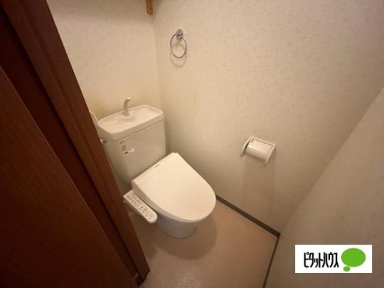 �y���̑��z�@�g�C��