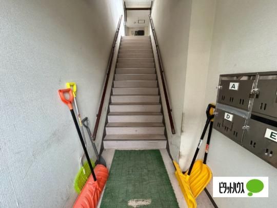 �y�����O�ρz�@���r�[