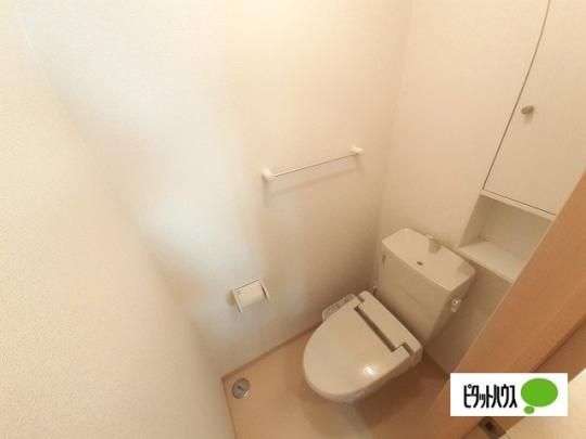 �y���̑��z�@�g�C��